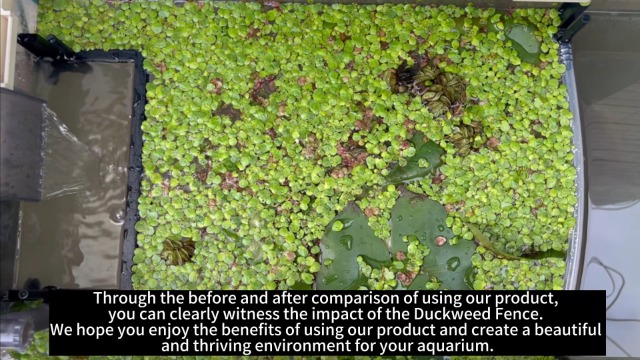 Floating Pond Plants Floating Flora Fish Barrier Floating Island Planter Pond Plant Protection Fine Mesh For Aquariums, Duckweed, Water, Garden, Home, Aquarium, Aquatic Animals 60 Cm/80 Cm Pond Shield