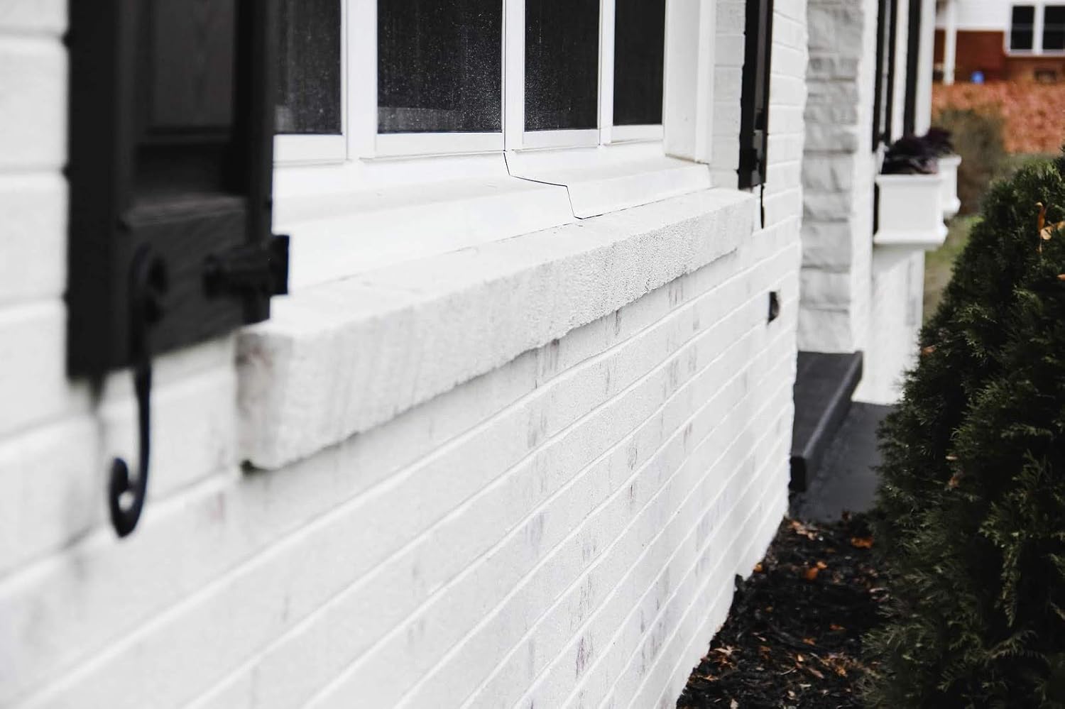 Romabio Classico Limewash Interior/Exterior Paint Lebanon Ubuy