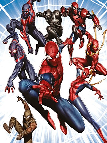 Pyramid International "Evolution Burst Spider-Man Canvas Print, Multi-Colour, 60 x 80 x 1.3 cm