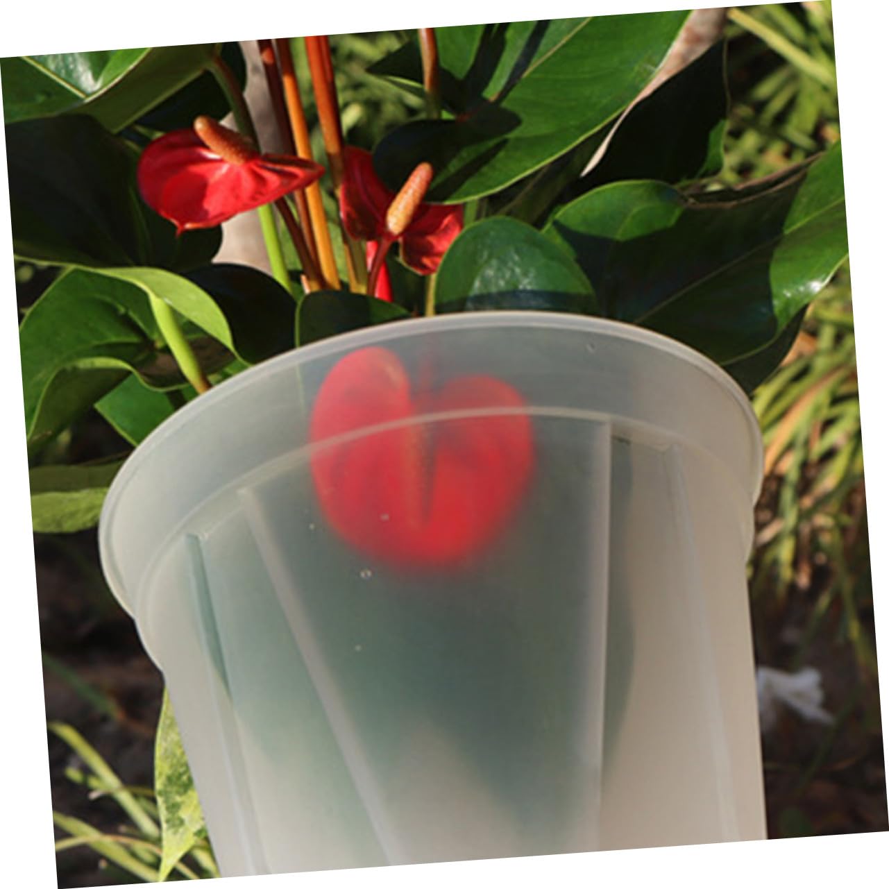 GALPADA Blumentopf 27cm aus Kunststoff Stabiles 2 Stück Orchideentöpfe mit Löchern für Outdoor Anbau und Belüftung Nicht Leicht Verformbar