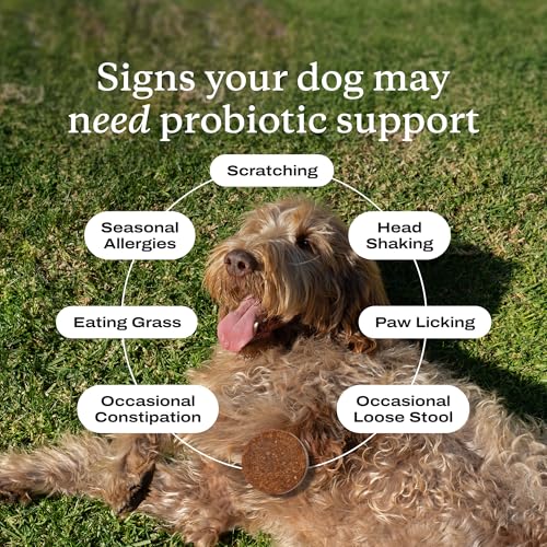 PetLab Co. Probiotics for Dogs, Support Gut Health, Occasional Diarrhea, Digestive Health & Seasonal Allergies - Pork Flavor - 30 Soft Chews - Packaging May Vary - Image 5