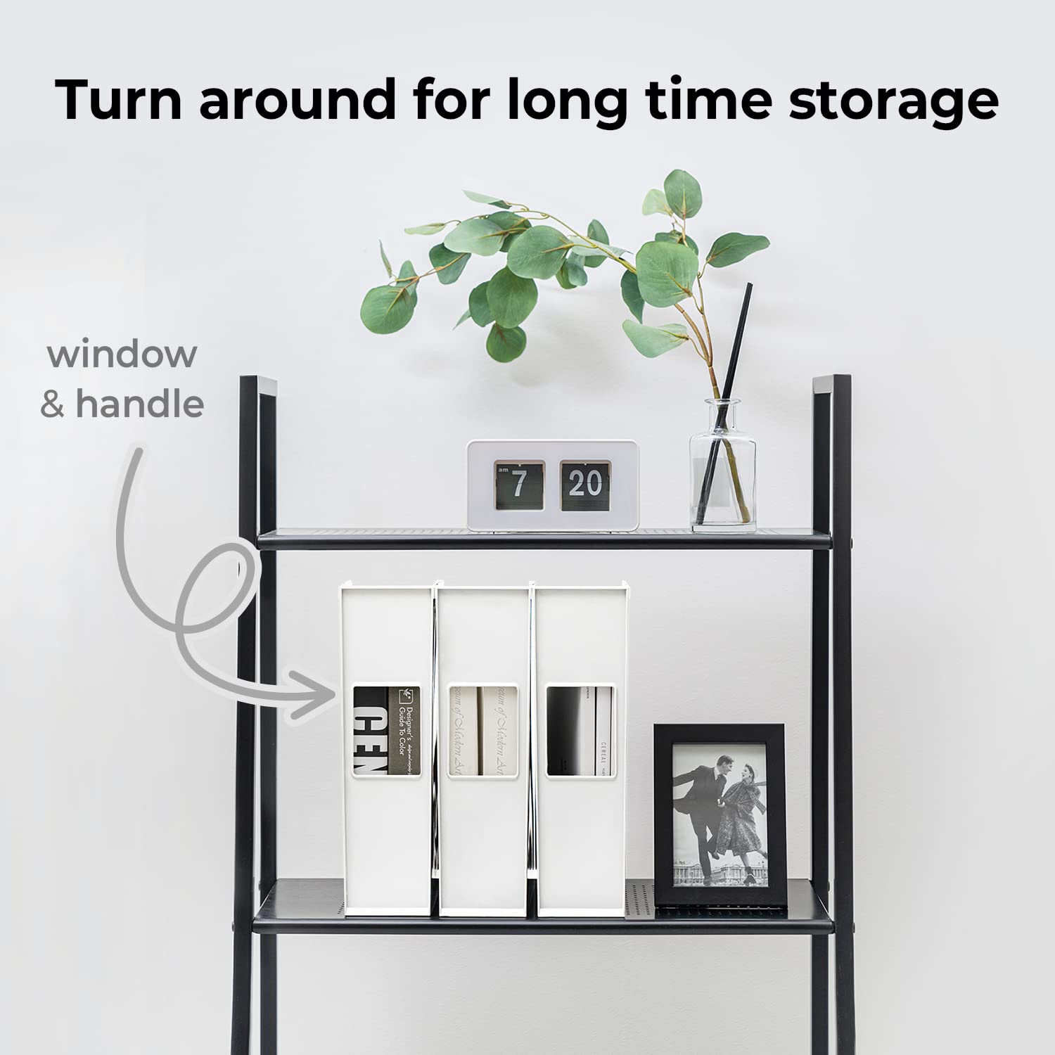 carrotez Office Rack/Display