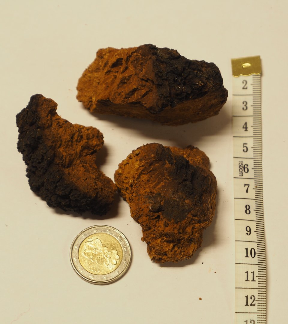 ATPC Media - Chaga Brocken aus Lappland - Finnische Wildsammlung 200 Gramm, ideal für Chaga Pilz Tee und Chaga Pilz Kaffee, aus den sauberen und weiten Wäldern Lapplands