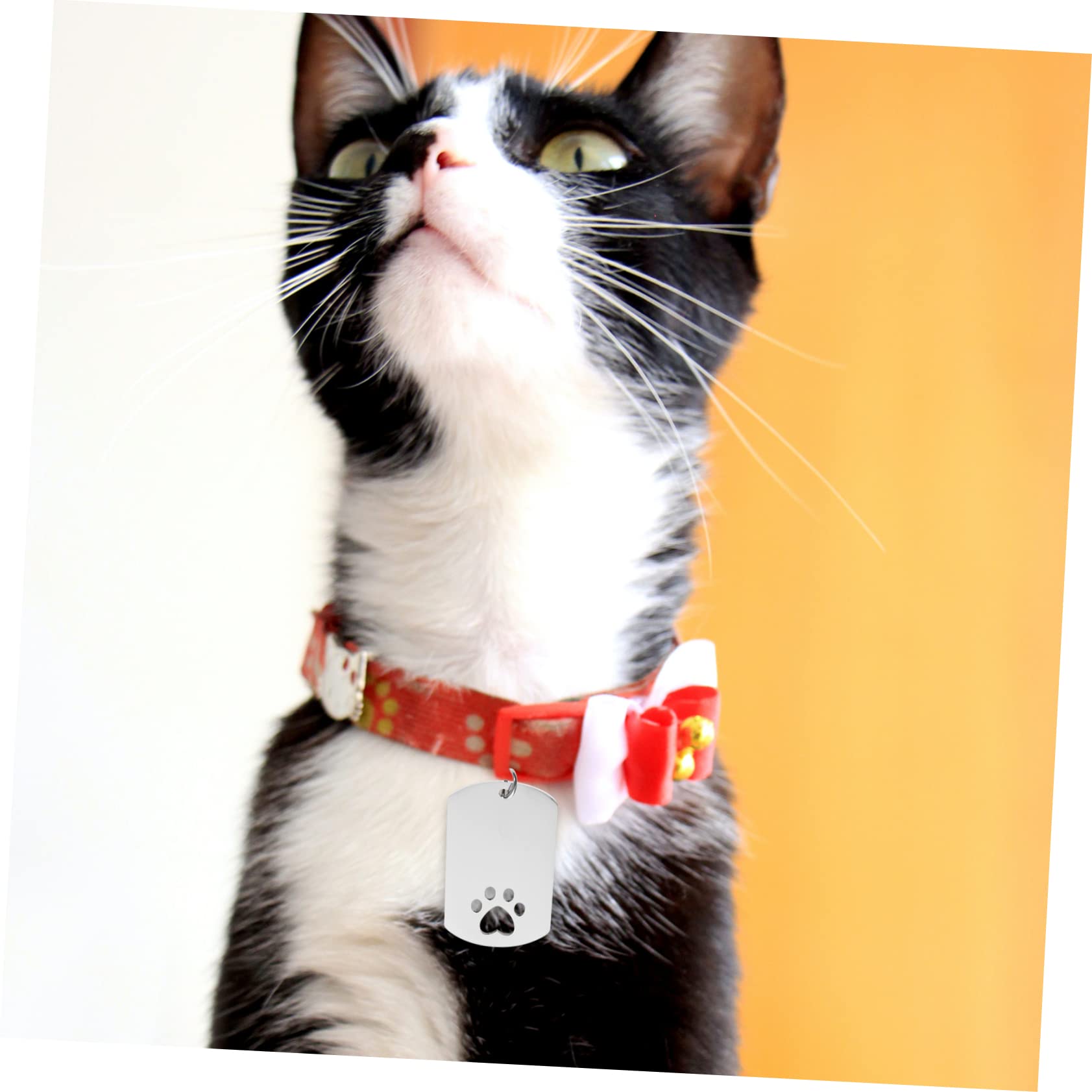 FRCOLOR 20 Pz Medaglietta Per Cani Medagliette a Sublimazione Stampaggio Di Animali Domestici Etichetta Sublimazione Piastrine Sbozzate Piccoli Animali Acciaio Inossidabile Scritte