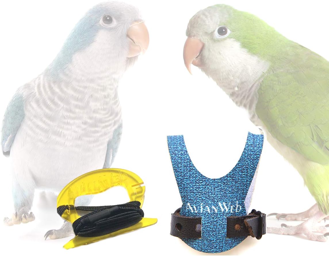 avianweb ez bird harness with leash