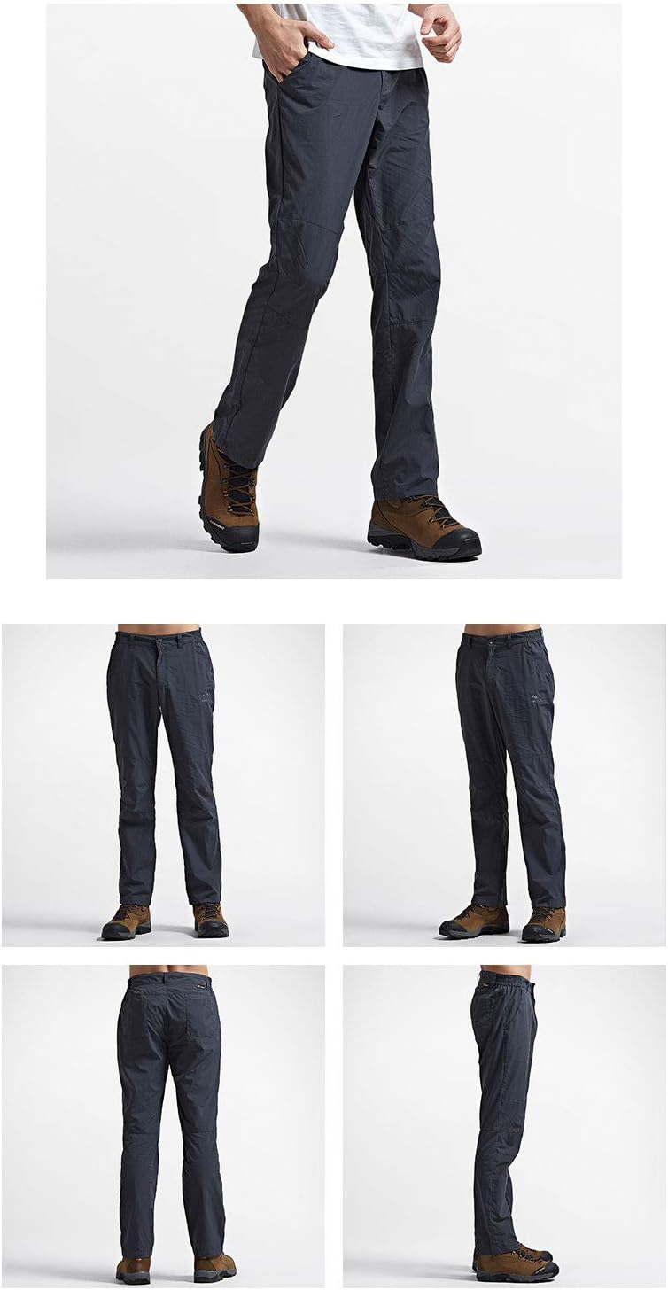 山採りナツハゼ 夏ハゼ1 H130cm W50cm