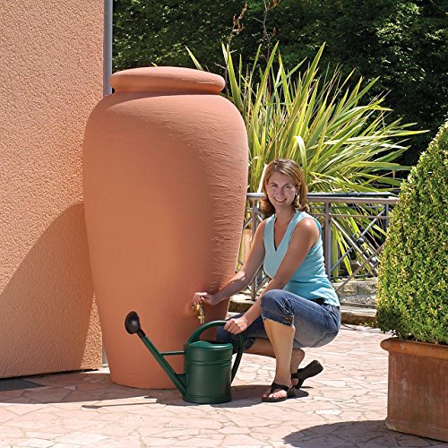 Photo complémentaire