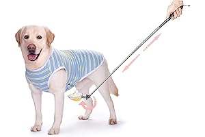 Telescopic Dog Urine Collector: Effortless Sampling for Female Dogs