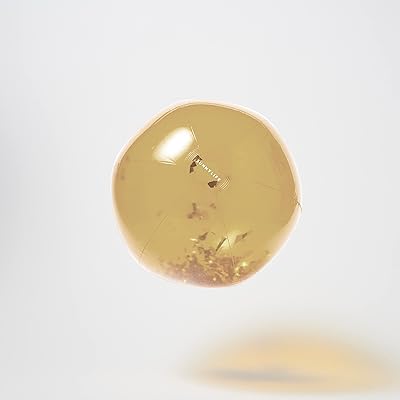 Sunnylife Inflatable Beach Ball | Disco