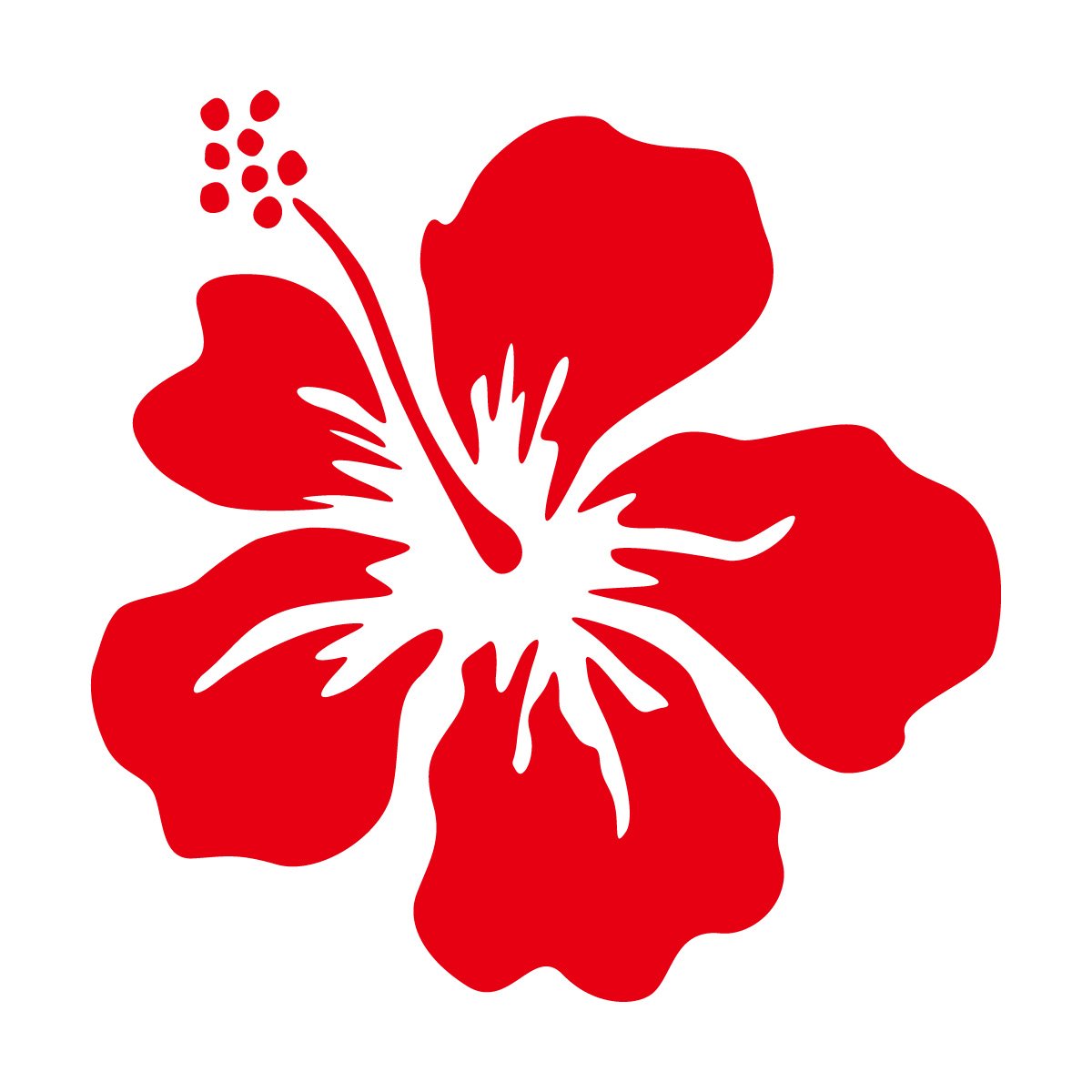 Amazon.co.jp: ハイビスカス 南国植物 ステッカー シール (花