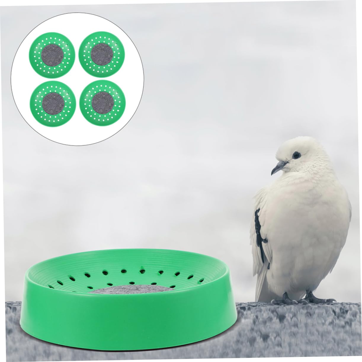 Sosoport Lot de 10 Nids de Pigeon en Plastique Solide pour Ponte, Surface Lisse, Taille Adaptée, Usage Élevage Domestique et Animalerie, Accessoires Cages à Oiseaux, Nid D'œufs