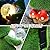 VIVICOMFY Solar Gnomes Statue Garden Decor -Gnomes Lover Gifts, with Gazing Solar LED Lights Ball Gnomes Decoration for Garden Yard Patio Lawn Balcony - Gifts for Mom Grandma