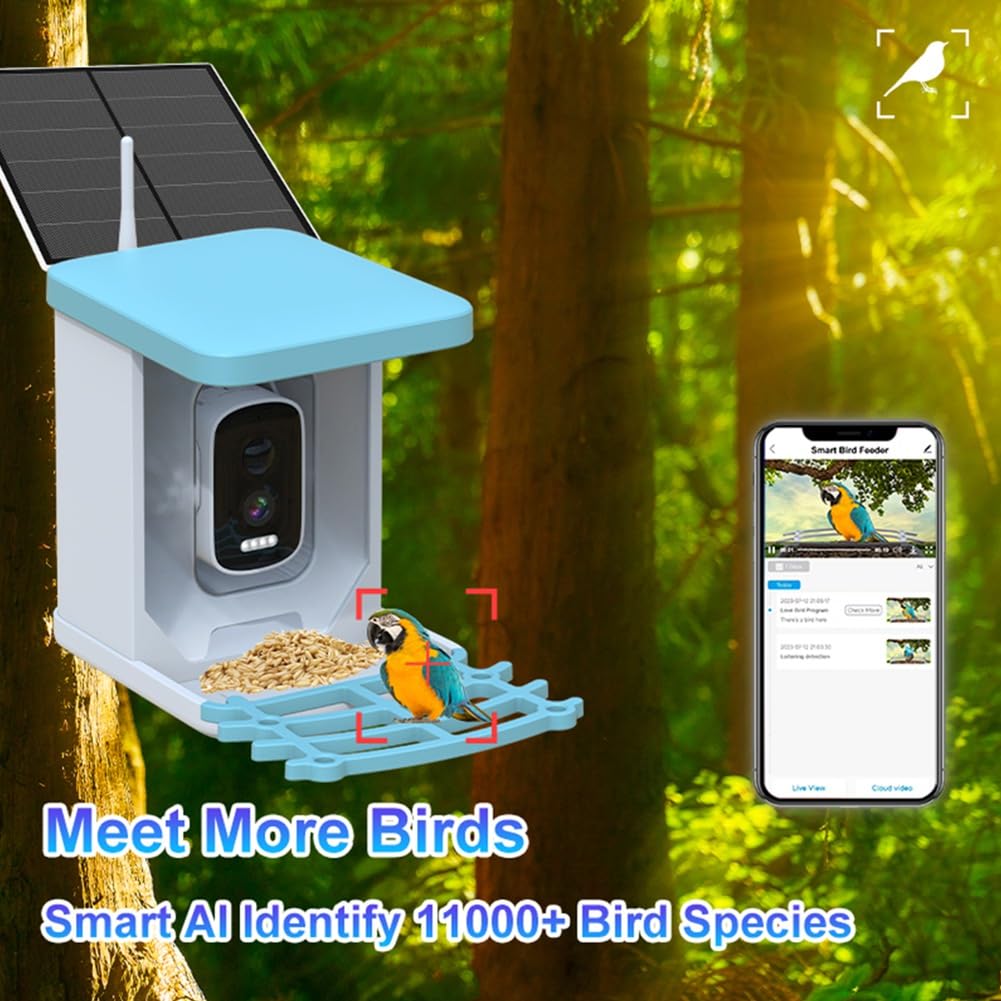 Videocamera per mangiatoia per uccelli con pannello solare WiFi telecamera solare wireless per esterni rilevamento del movimento telecamera per osservazione
