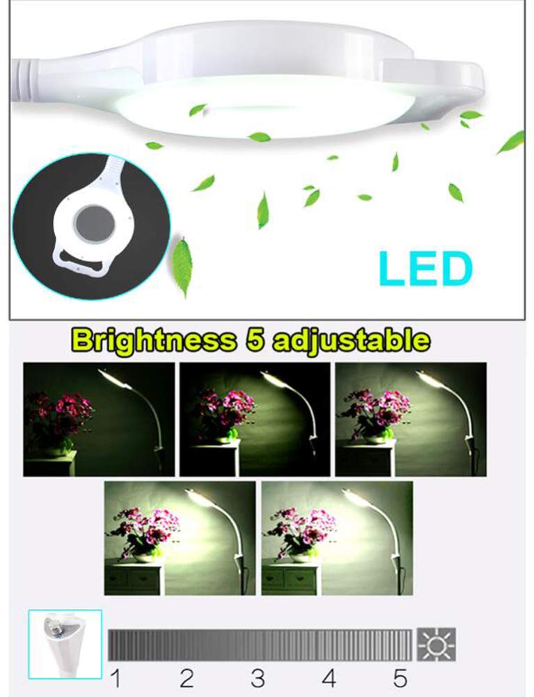 Vergrößerungs-Led-Lampe, 8-Fache Standlupe, Schattenlose Lupe, Beleuchtete Schönheitswerkzeuge Für Salon, Maniküre, Tattoo-Salon, Spa (Weiß) A/Ohne Riemenscheibe (Mit Riemenscheibe)