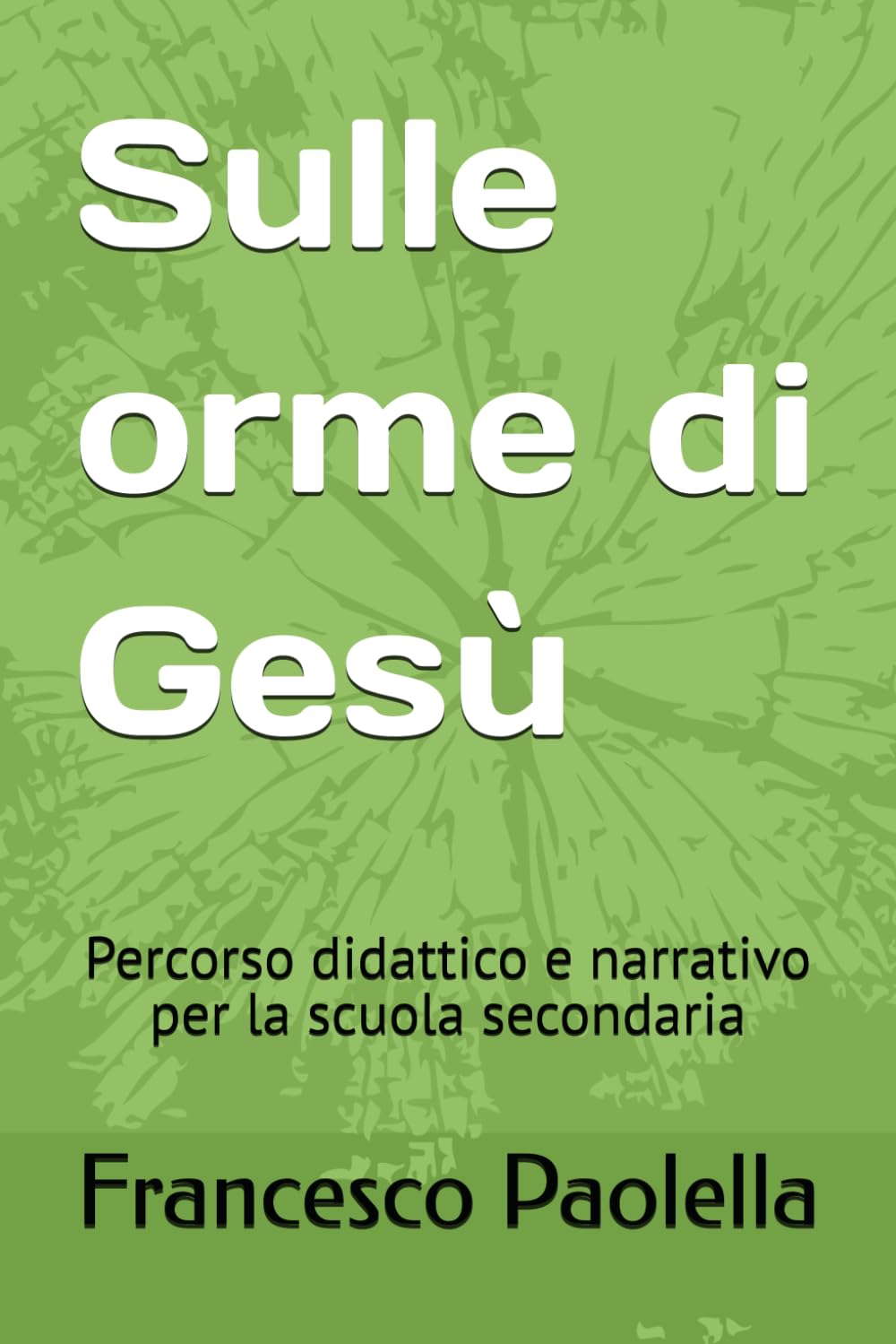 Sulle orme di Gesù: Percorso didattico e narrativo per la scuola secondaria