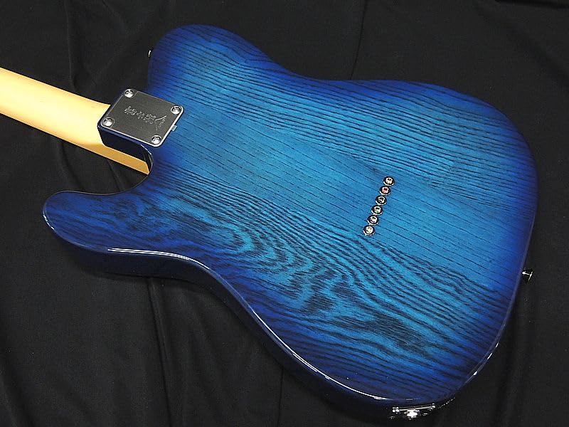Amazon | FGN FUJIGEN NTE100MAHT SBB フジゲン Neo Classic