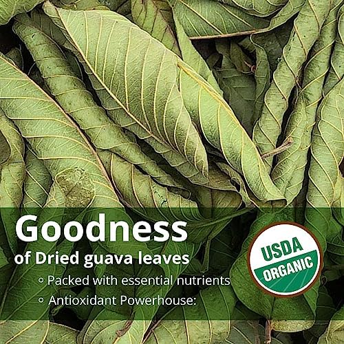 Akshit Organic Dried Guava Leaves, Hojas De Guayaba, Guava Leaf Tea, Loose Leaf Tea, Hair Regrowth, Skin Care, Caffeine-Free, Non-Gmo, Vegan, Gluten-Free.13Oz.pack Of 5 #TOP2