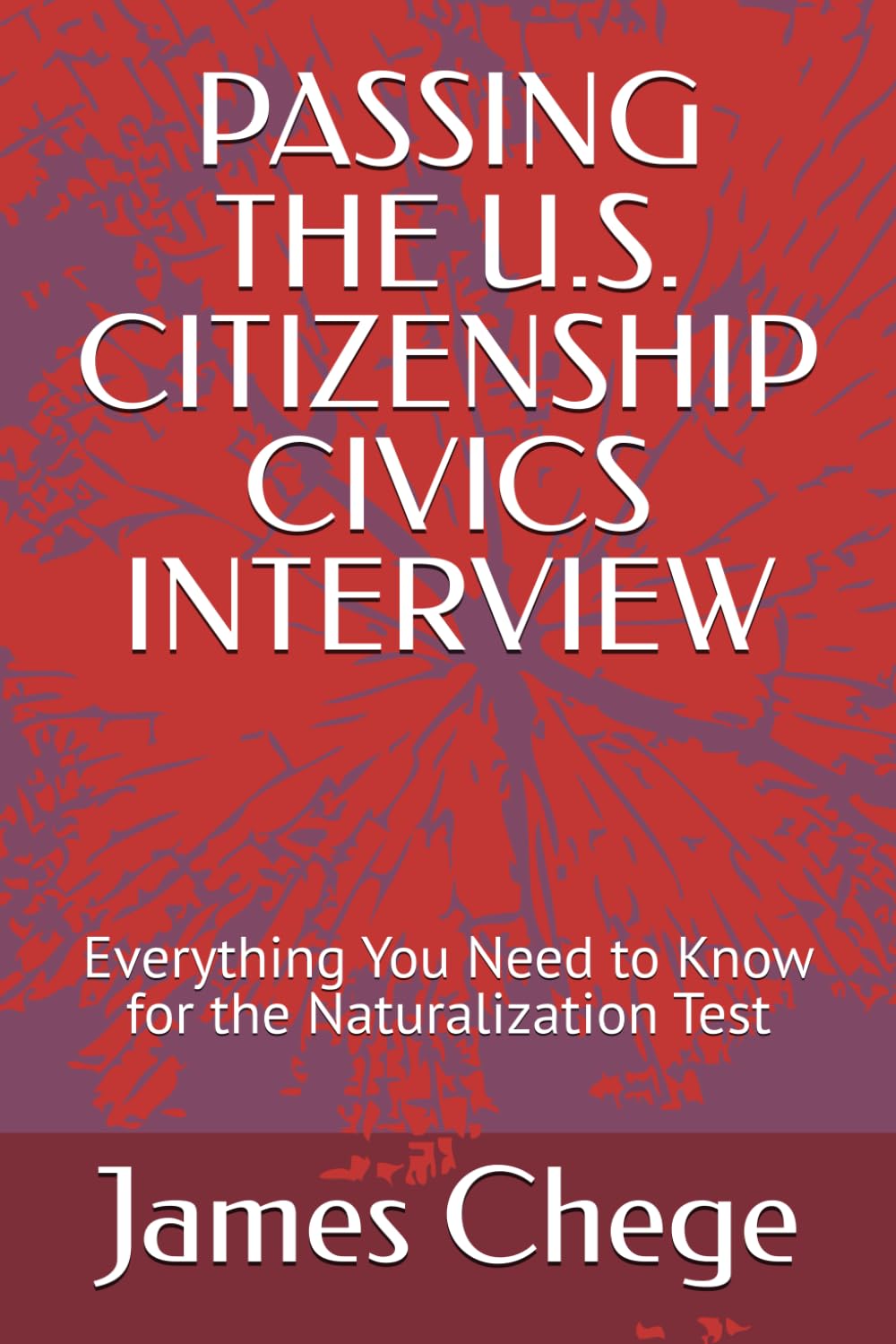 PASSING THE U.S. CITIZENSHIP CIVICS INTERVIEW: Everything You Need to Know for the Naturalization Test