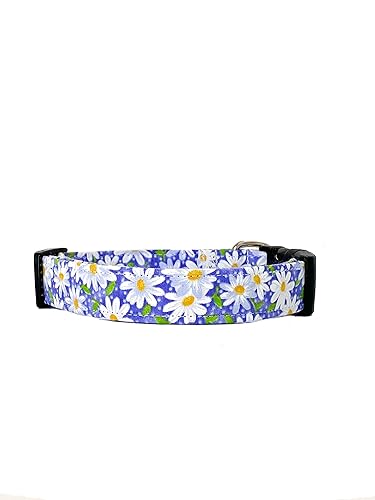 Purple and White Daisy Dog Collar with Buckle - Made in the USA - Handmade by Collars by Design CatTiny