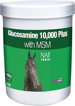 NAF Glucosamine 10000 Plus with MSM
