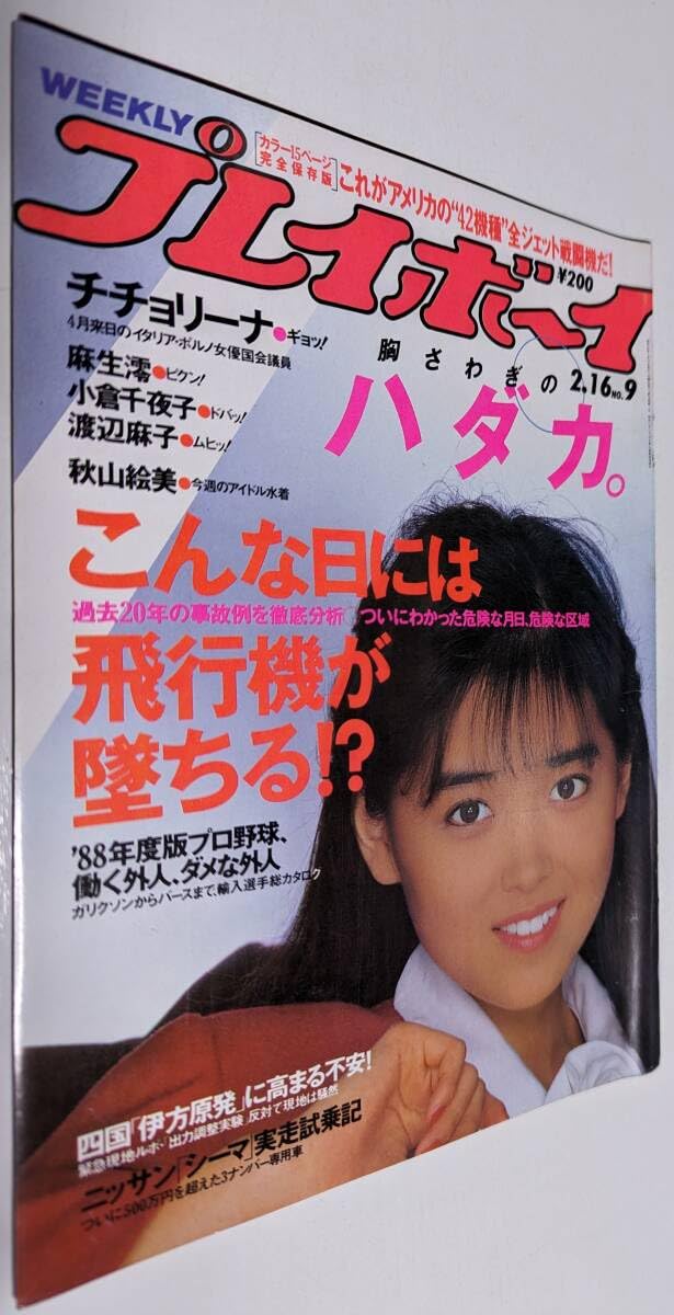 希少‼️レア‼️二度と手に入らない馬主金貨‼️メイワキミコ 希少‼️レア‼️二度と手に入らない馬主金貨‼️メイワキミコ