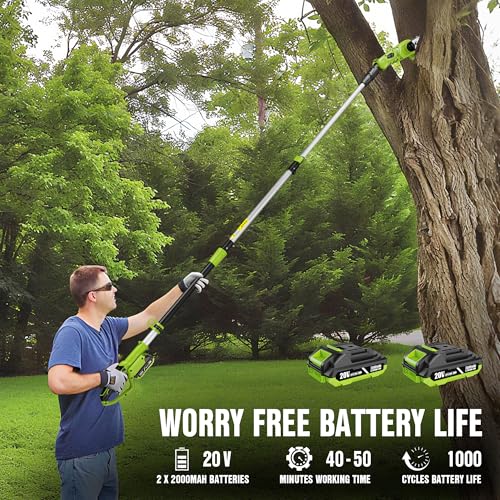 Cordless 8-Inch Pole Saw