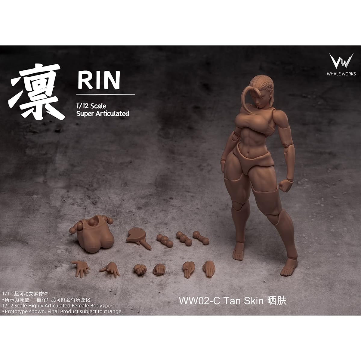 Amazon.co.jp: HiPlay 鯨工房 1/12 女性 素体 凛 RIN 日焼肌 WW02-C
