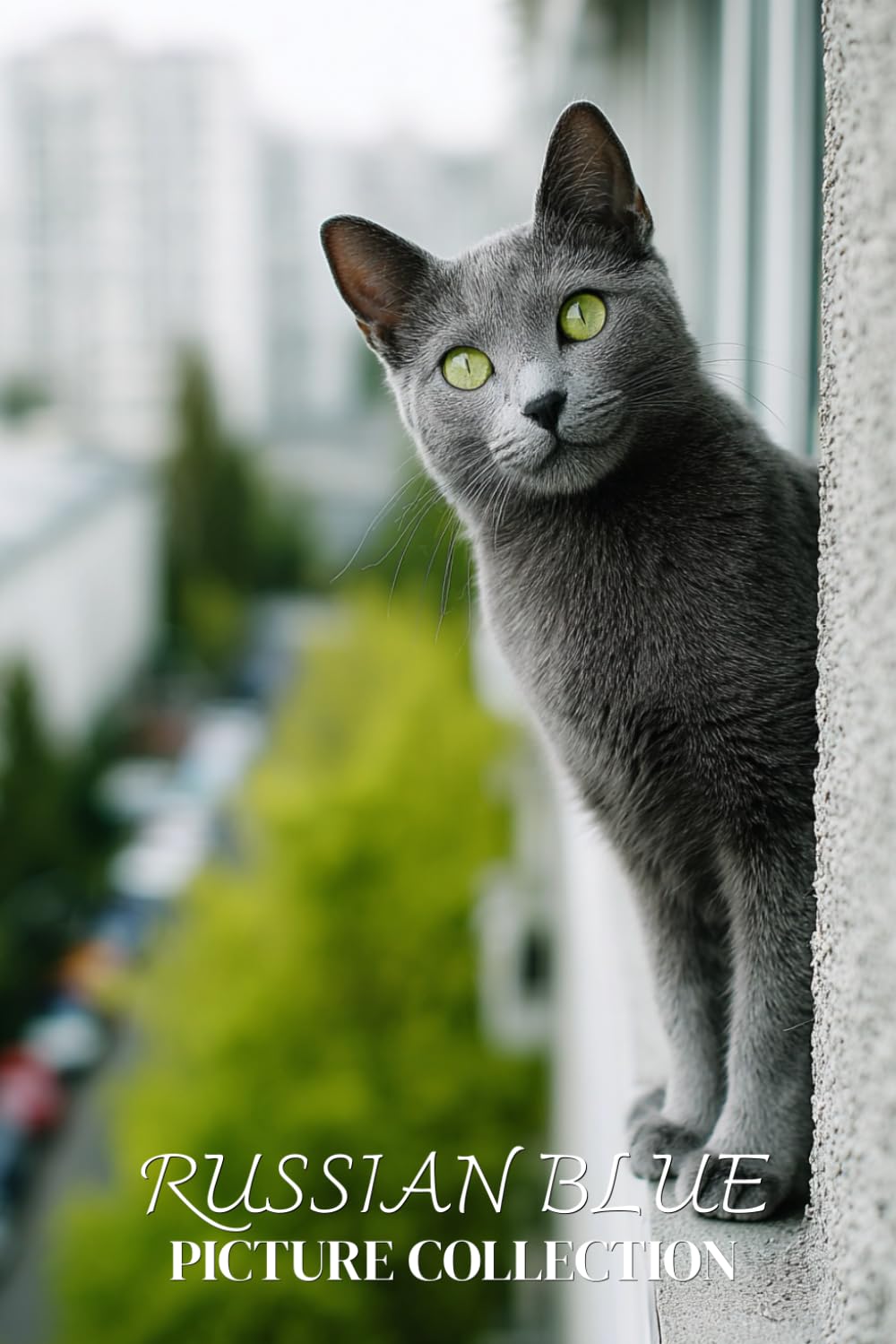 Russian Blue Cat Photo Collection: Serene Full-Page Pictures of Russian Blue Cats and Kittens for All Ages (Calming Pet Books)