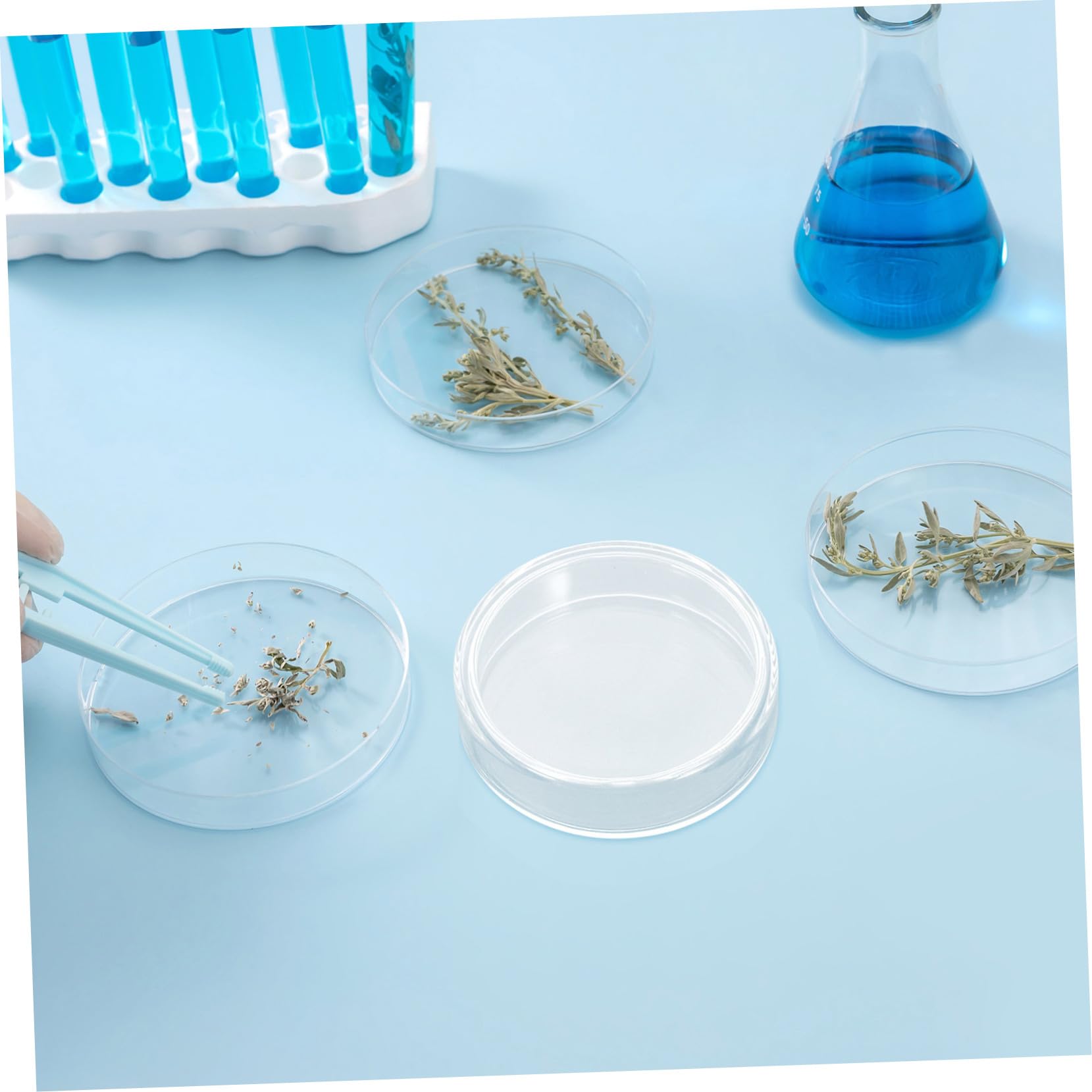 CHILDWEET 10stücke Petrischalen Aus Glas Mit Deckel Vorgegossen Für Laborgebrauch Mikrobiologische Kulturschalen Geeignet Für Zelle Pilzuntersuchungen