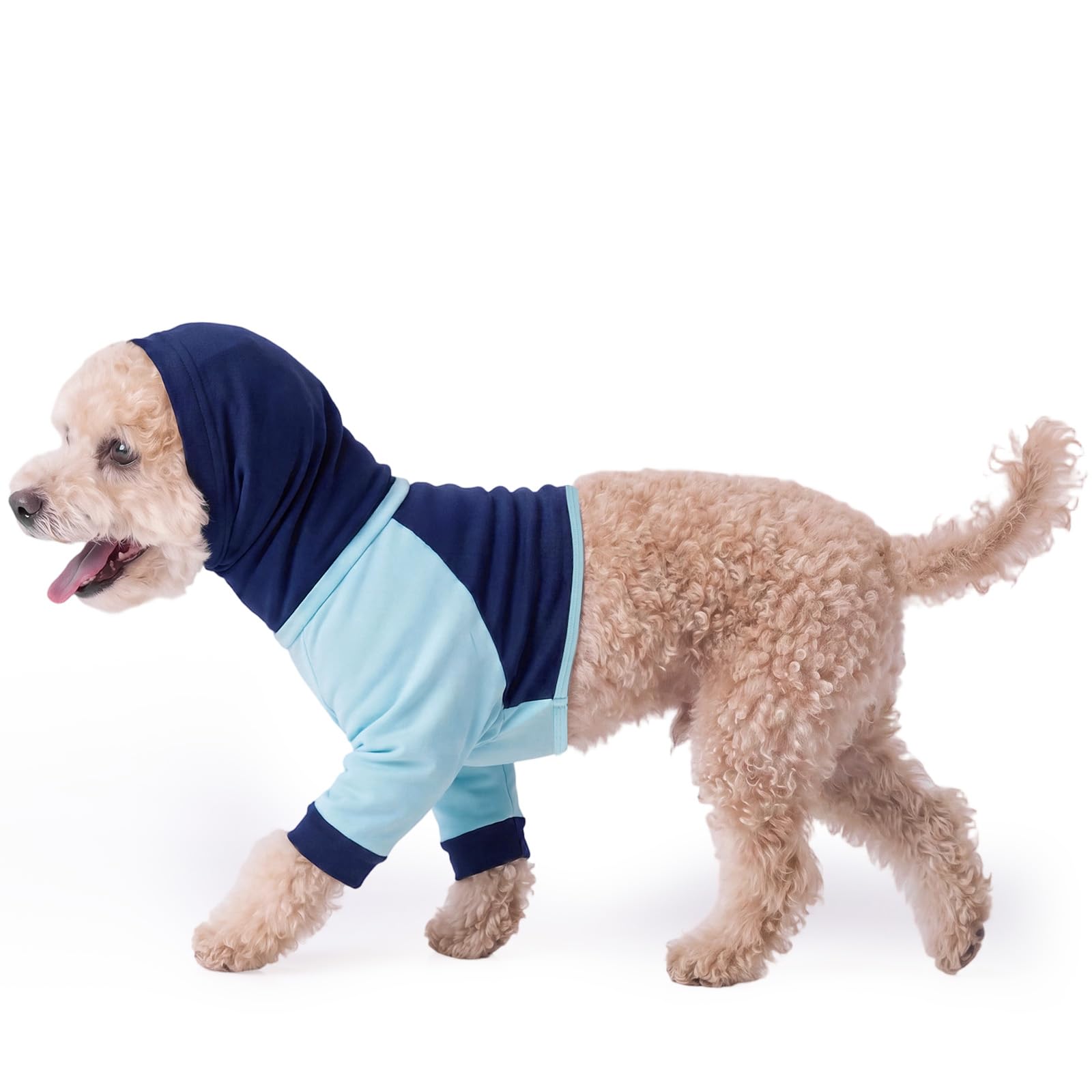 Dog Recovery Suit with Neck & Front Leg Protection, Anti Licking Shirt