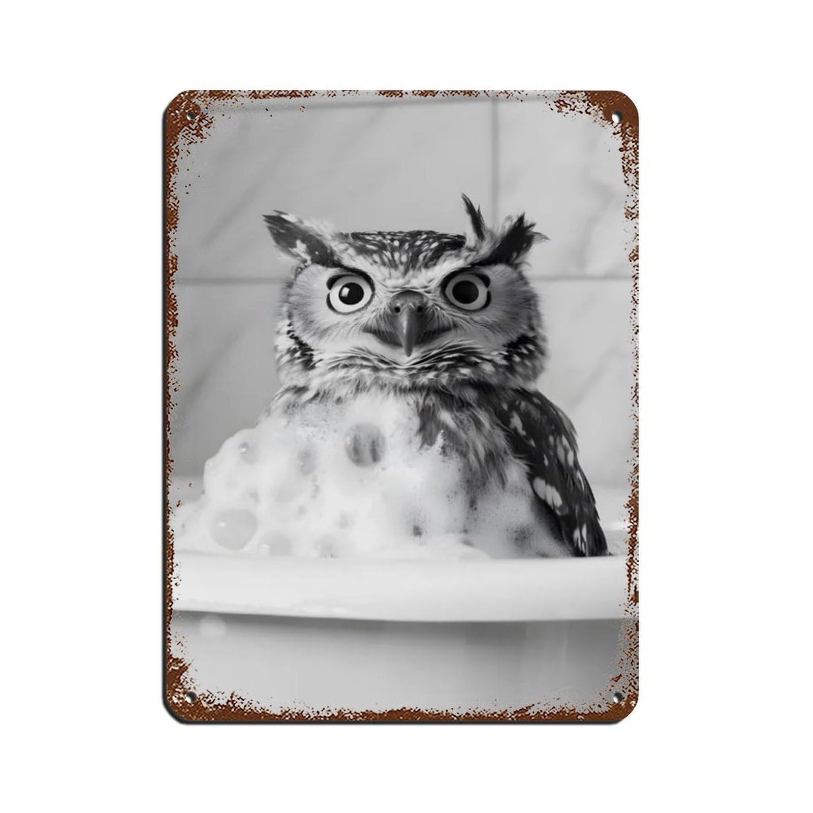 Owl in The Bathtub, Cute Bathroom Art Tin Sign Vintage Metal Pub Club Cafe Bar Home Wall Art Decoration Poster Retro 12x16inch(30x40cm)