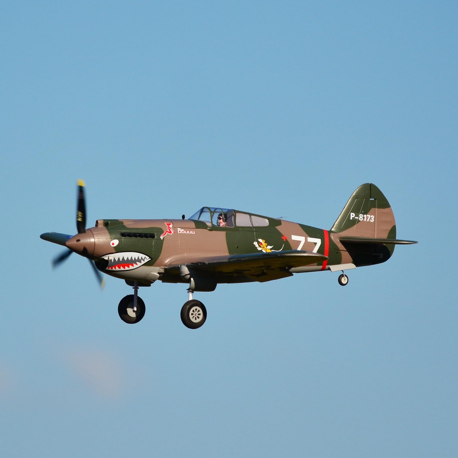 Fms Rc Planes for Adults Remote Control Airplane P-40B Flying