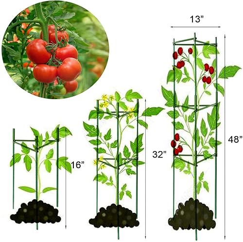 Miniatura 5 de Jaula de tomate, paquete de 3 jaulas de tomate para plantas trepadoras, kits de enrejado de plantas y soporte para plantas trepadoras verticales