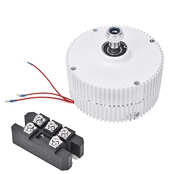 Electric Motor Generator, 3-Phase Alternator Permanent Magnet Electric Motor Generator DIY Synchronous Generator for Wind Turbine, NE-300(12V Motor + Rectifier)