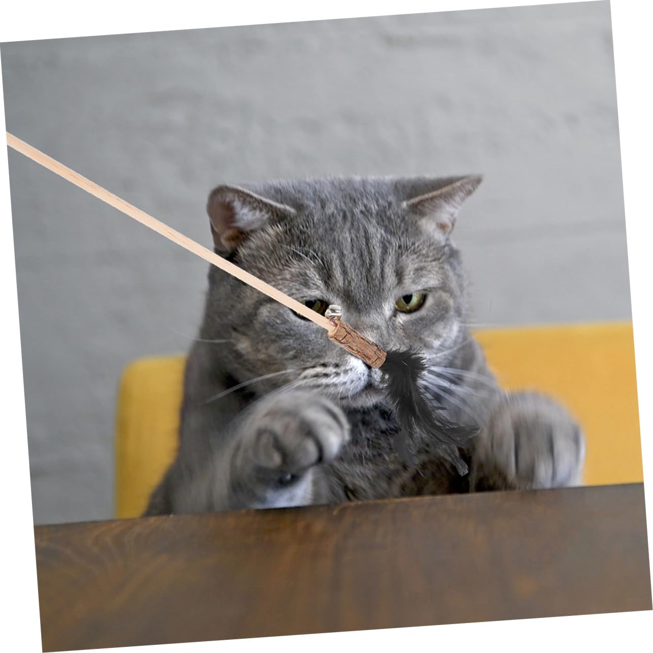Mipcase 15 Pièces Chat Taquin Baguettes De Chat Tentures Taquineries Drôles Teaser De on Jouet pour Jouets on Jouet De Canne à Pêche pour De Mignon en Bois