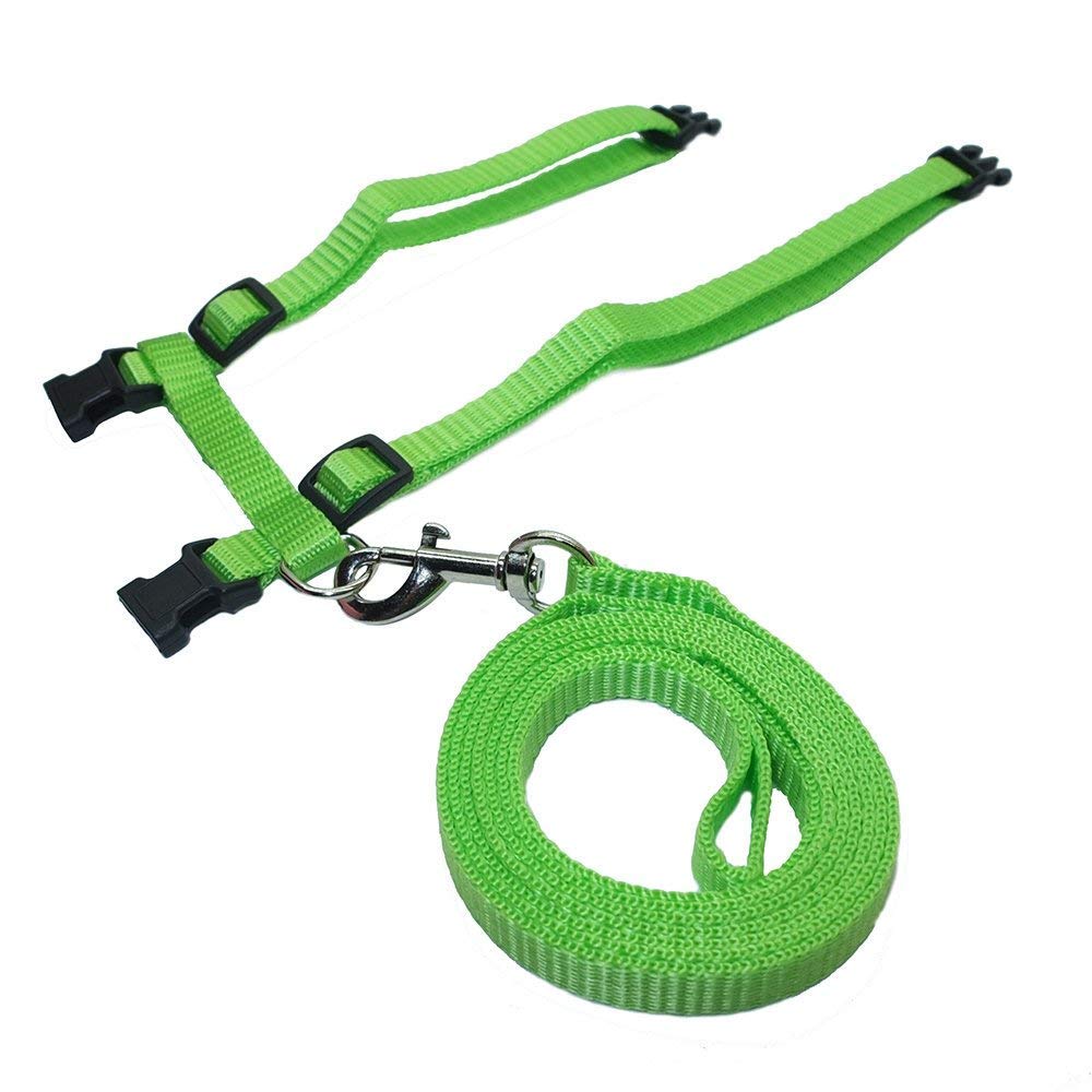 Petlicious & More Cat Adjustable Nylon Harness Strap Collar with Leash Set Small Pet Walking (Neon Green) (B08L24VJQG) Amazon Price History, Amazon Price Tracker