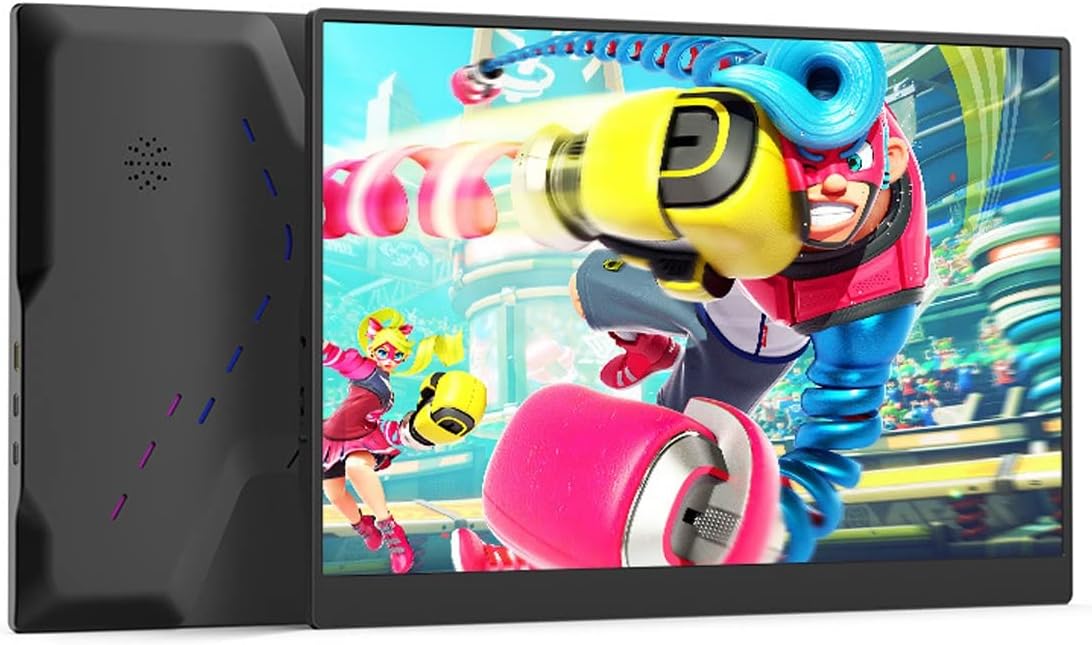 Amazon.com: DFZ Portable Monitor, 17.3 Inch 1920x1280 HDR Monitor IPS ...