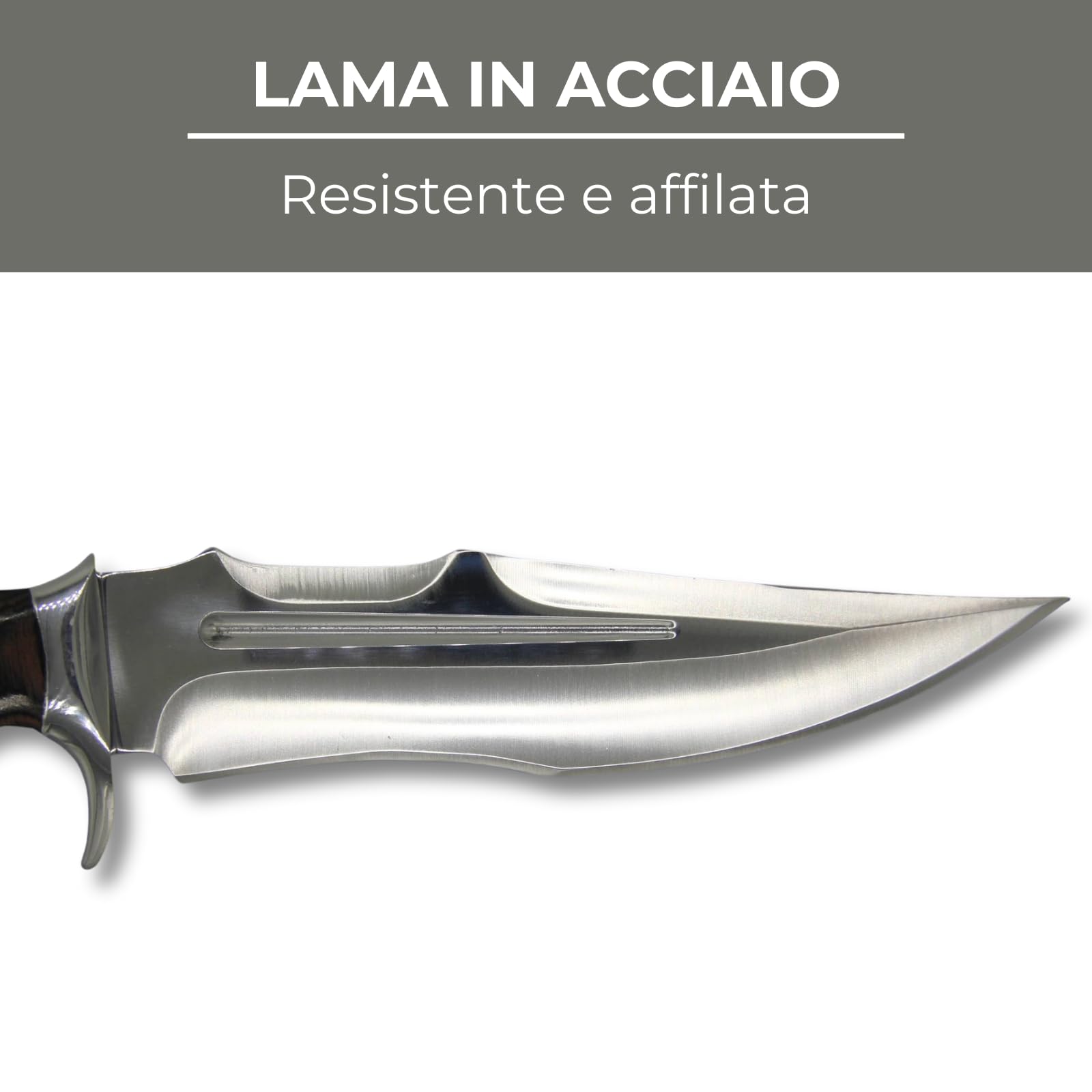 Generico Coltello da Caccia Lama Fissa in Acciaio con Manico in Legno e Fodero Incluso – Idea regalo – Coltello Outdoor per Caccia Campeggio ed Escursionismo – Modello 04