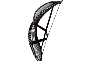 Double Mesh Lumbar Support: Ultimate Back Support for Car and Office