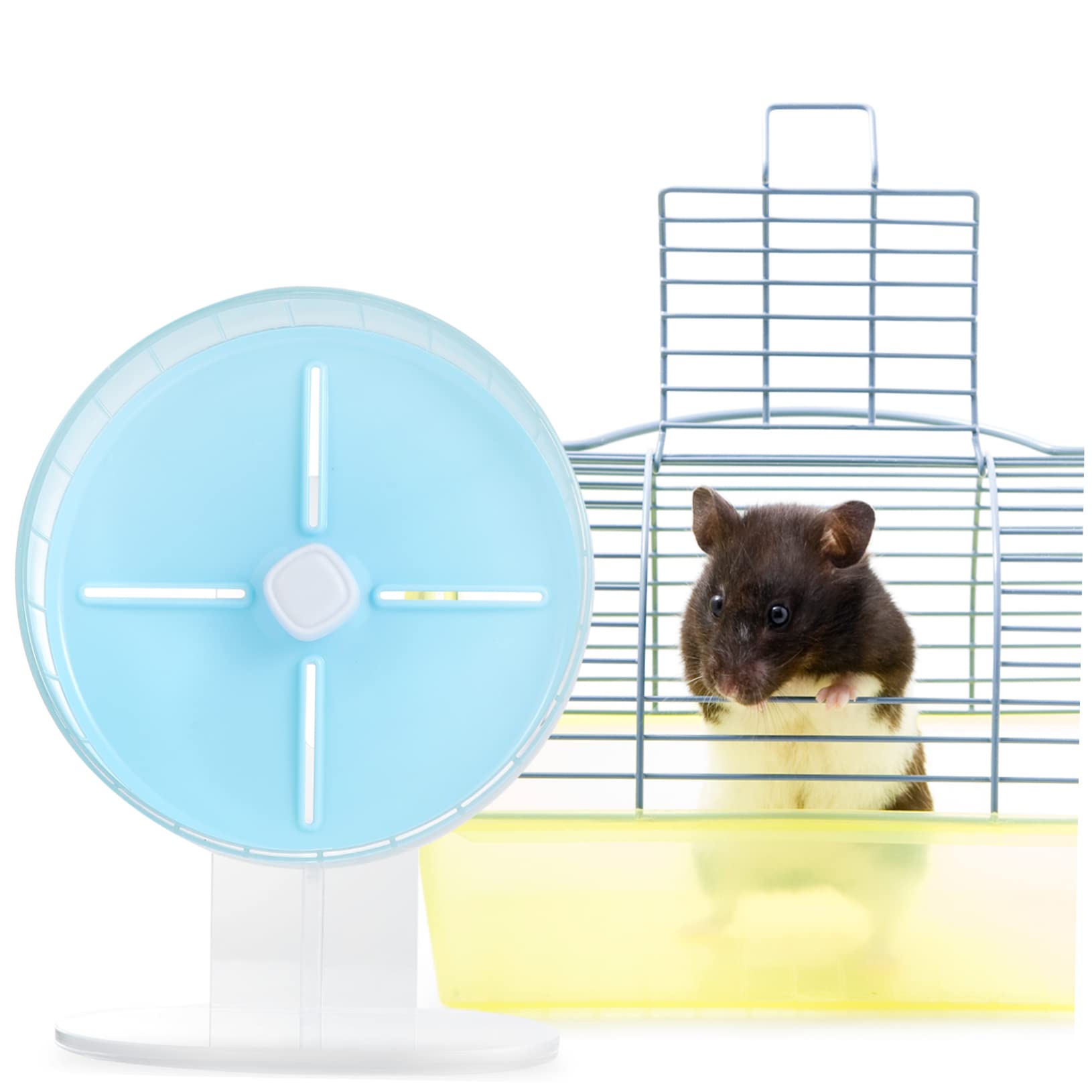 INOOMP 1pezzi Silenziosa Per Criceti Con Esercizi Per Come Criceti Gerbilli e Scoiattoli Facile Installare Resistente