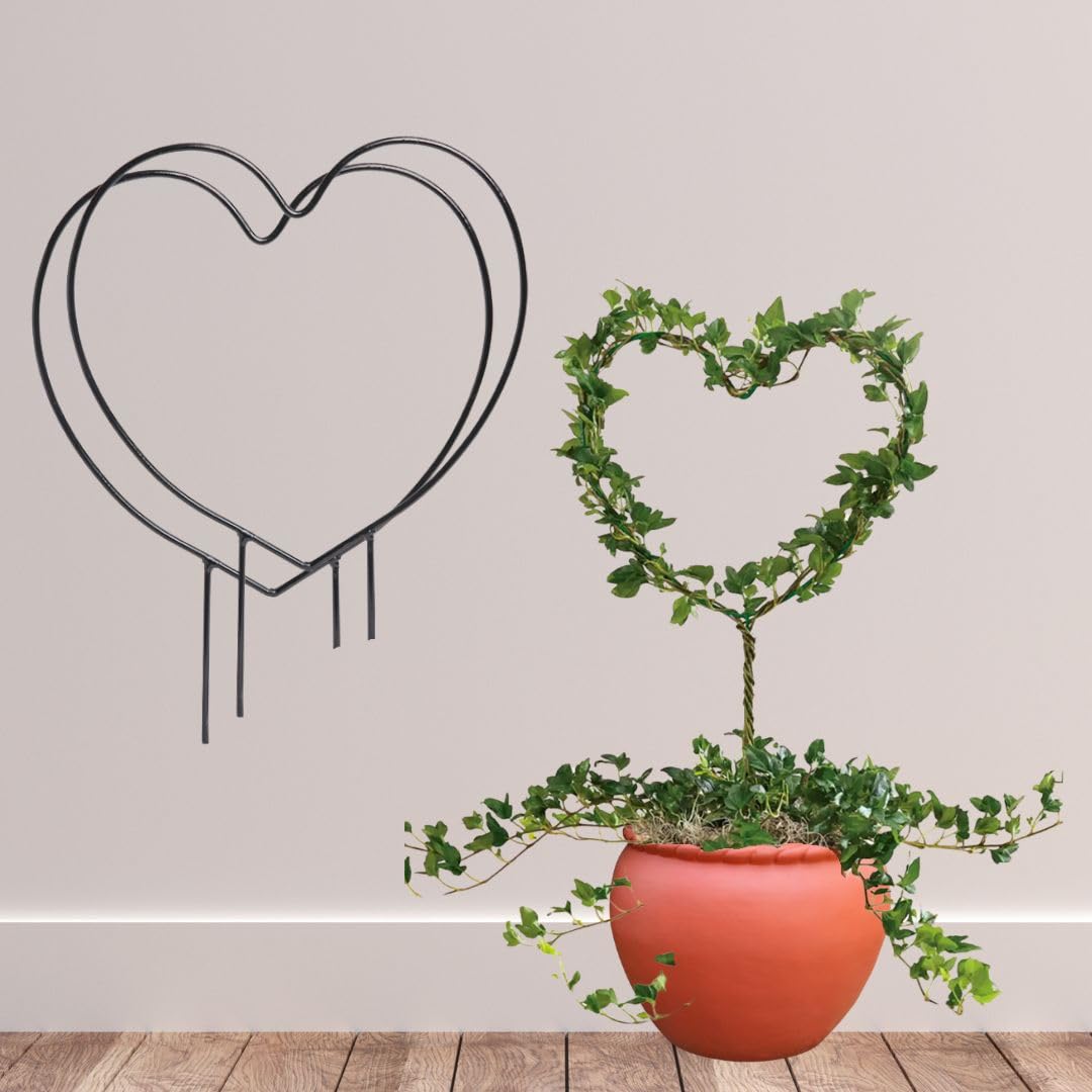 HOMSSY Heart Shape Garden Stakes Set of 2 - Decorative Plant Supports for Garden and Outdoor Use 1402 (21) (B0D4VNB6ZK) Amazon Price History, Amazon Price Tracker