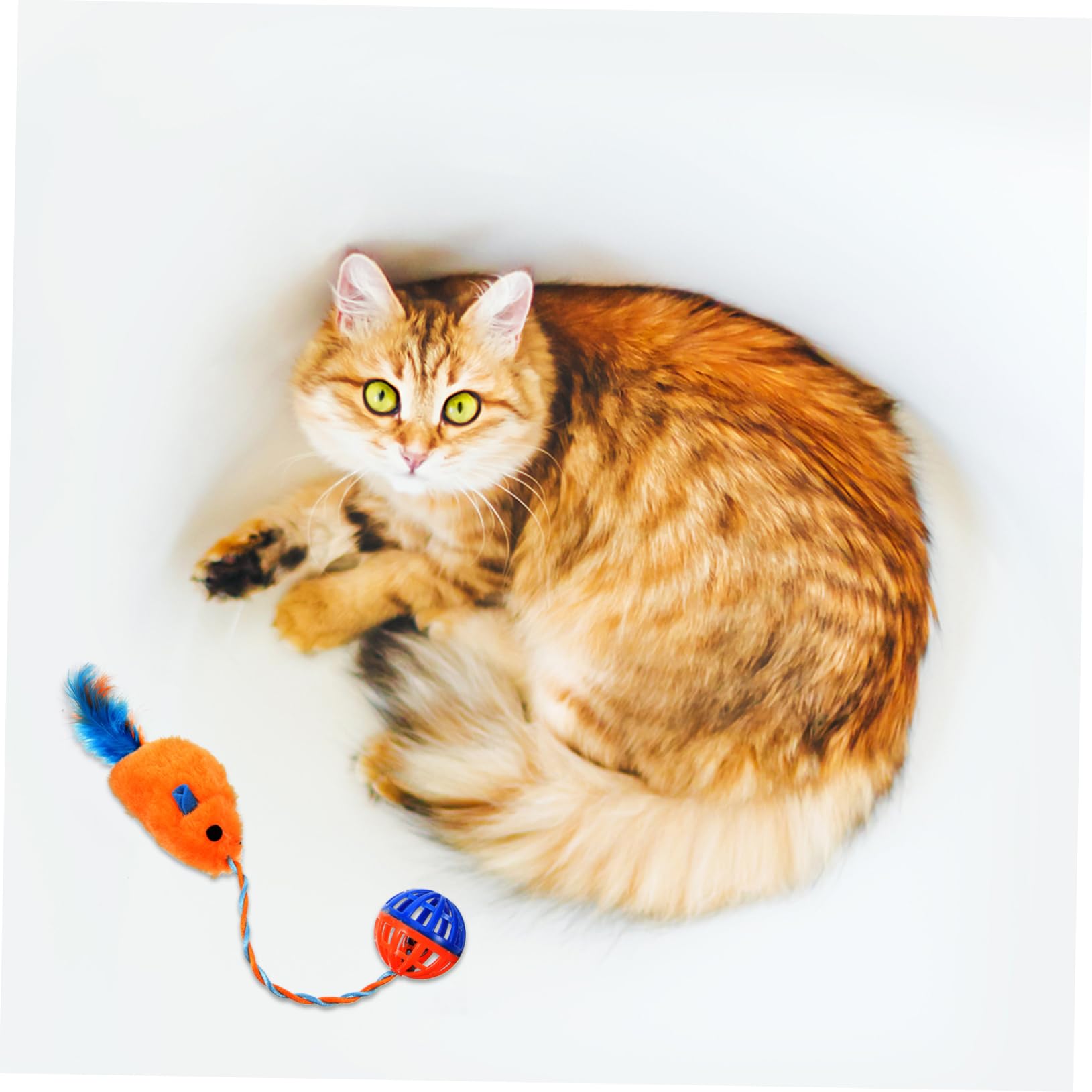 Jouet pour Chat Interactif avec Clochette en Plastique Peluche Souris Orange Léger Et Compact Jeu Stimulant pour Chat D’intérieur Adapté Aux Chatons