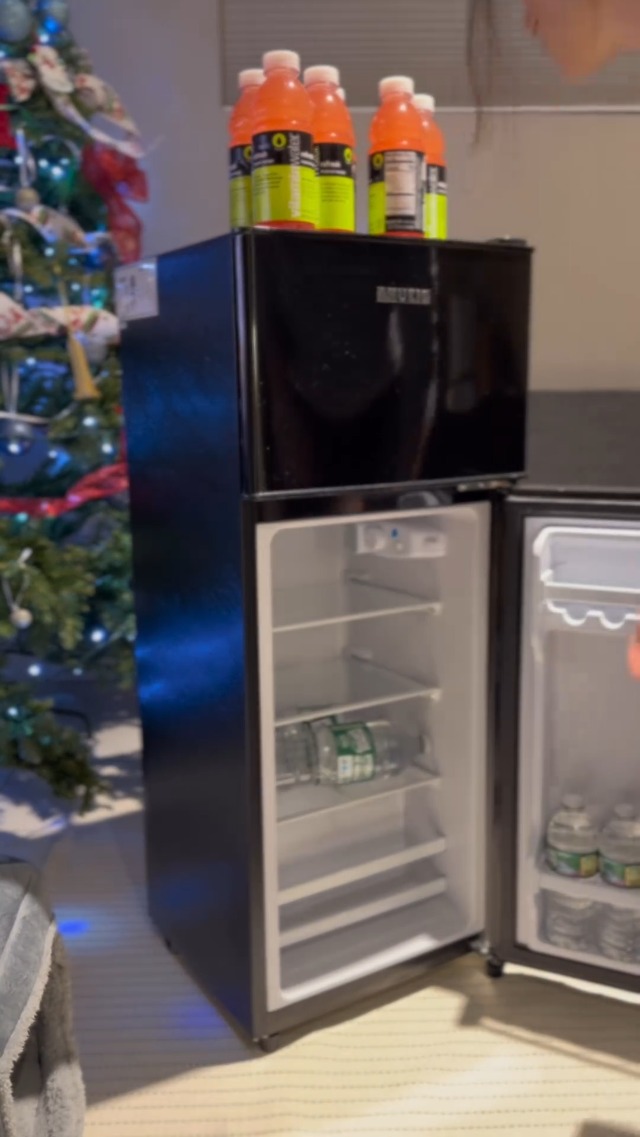 Amazon.com: Fox Shack Refrigerator with Freezer, 3.8 Cu Ft Double