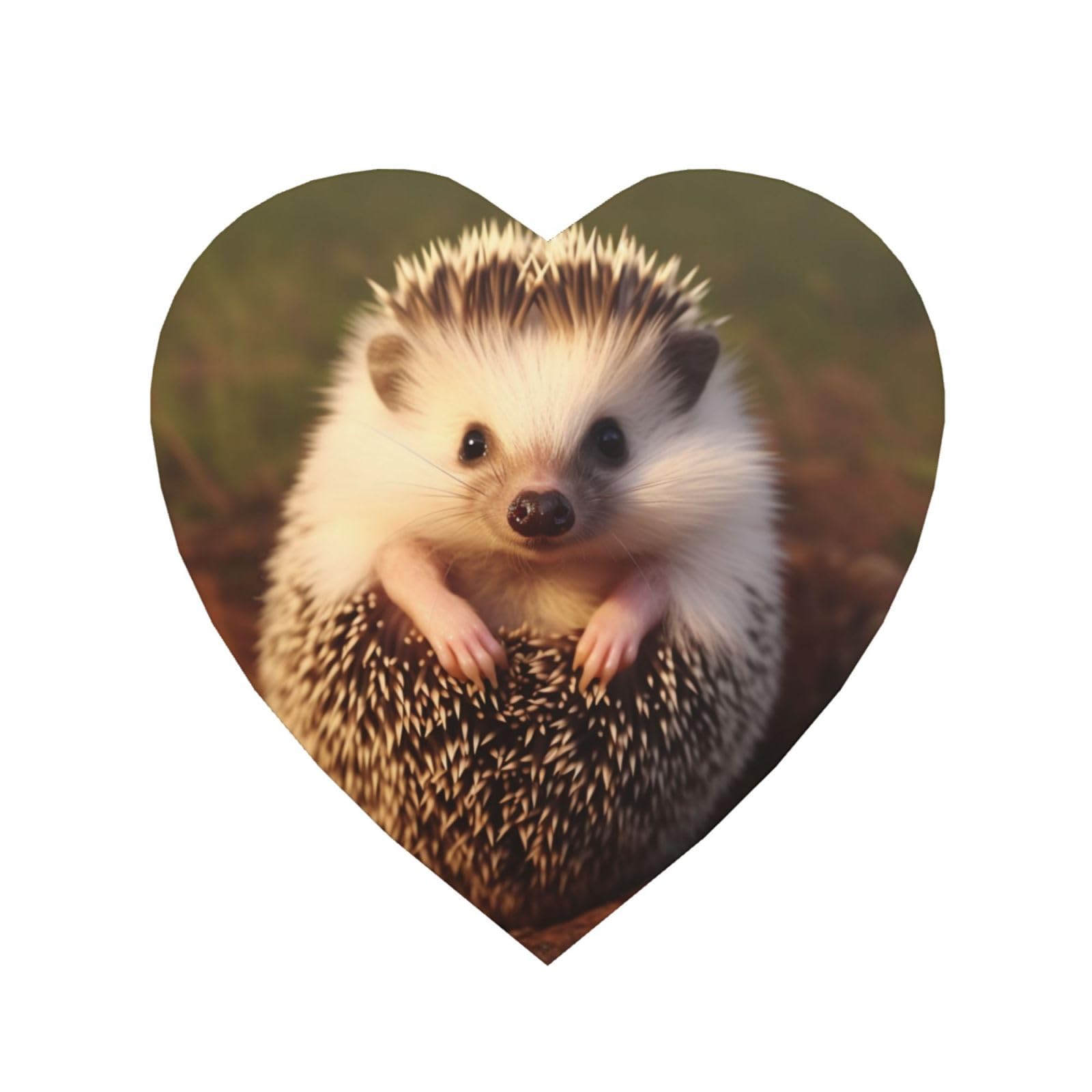Fodpand Heart Shape Hedgehog Fridge Magnets, Strong Small Refrigerator Magnets Decorative Magnets For Kitchen Fridge Office Locker - Funny Magnetic Stickers Birthday Gifts
