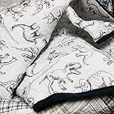 Cozy Line Benjamin Plaid Quilt Sets Reversible Dinosaur Pattern 2-Pcs Bedspread, Twin Size for Boys
