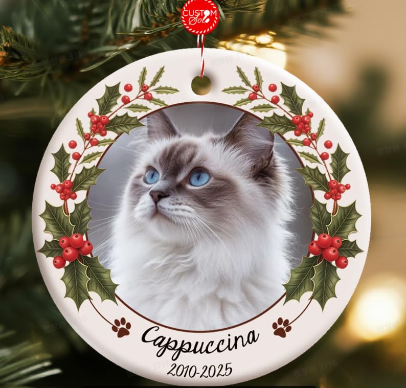 Bemaystar Personalized Dog Memorial Christmas Bauble - Ceramic Dog Memorial Gifts, Pet Memorial Bauble, Cat Christmas Ornaments in Memory of Pet Loss Gifts for Christmas Tree Decorations Cat