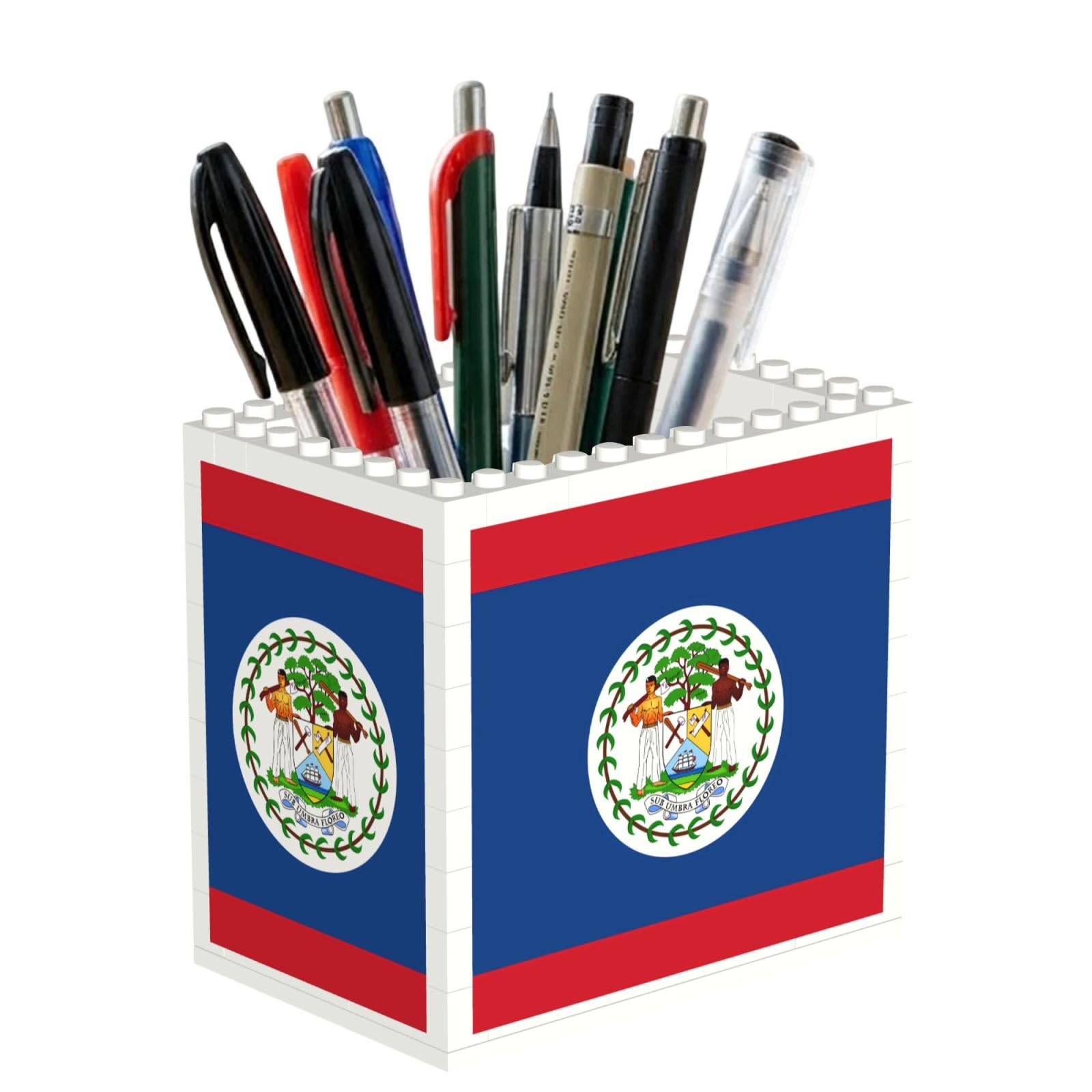 SXZVVBN Belize Flag Building Block Desk Tidy ABS Organiser
