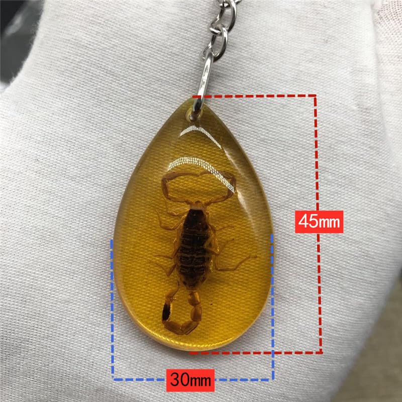 Image of 6Pcs Amber Fossil Keychain Set - Insect Specimen Necklace, Home Decor Collectible, Oval Pendant, Scientific Education Gift