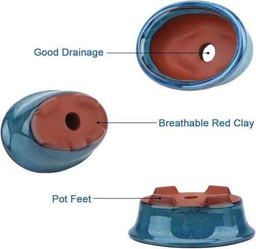 Miniatura 3 de Maceta Bonsái para suculentas, pequeñas macetas esmaltadas, paquete económico de 2 + 4 pantallas de drenaje de malla suave