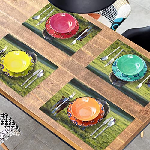 Sets de table antidérapants Aniaml lot de 6 thermorésistants 30x45 cm - 8